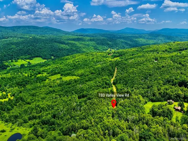 TBD Valley View RD, Hunter, NY 12452