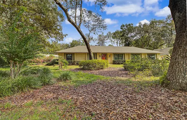 295 SE 28TH ST, Melrose, FL 32666