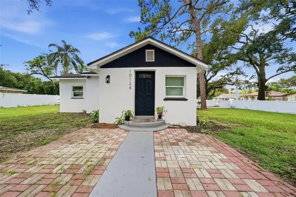10124 N HYACINTH AVE, Tampa, FL 33612