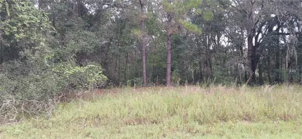 1623 E IVYDALE DR, Citrus Springs, FL 34434