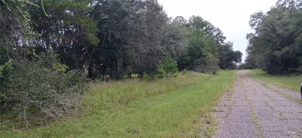 1623 E IVYDALE DR, Citrus Springs, FL 34434