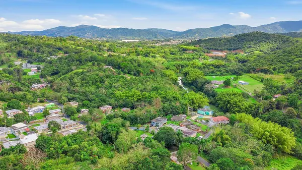 4 BARRIO RINCON, Cidra, PR 00739