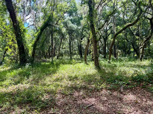 126 LAKE GENEVA RD, Georgetown, FL 32139