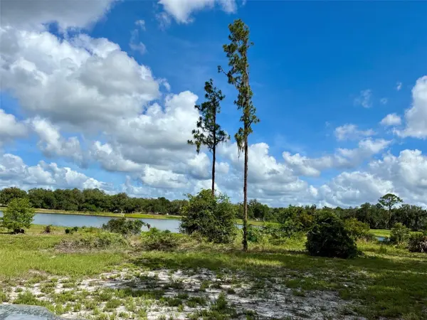126 LAKE GENEVA RD, Georgetown, FL 32139