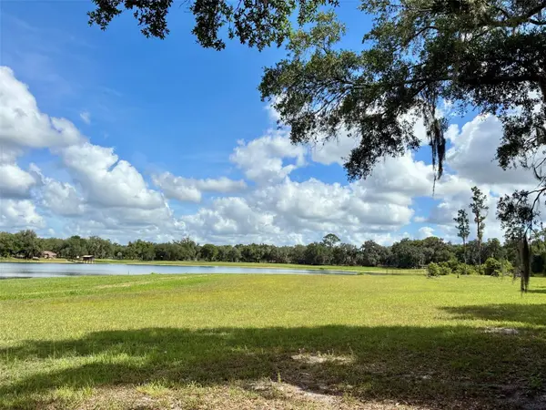 126 LAKE GENEVA RD, Georgetown, FL 32139