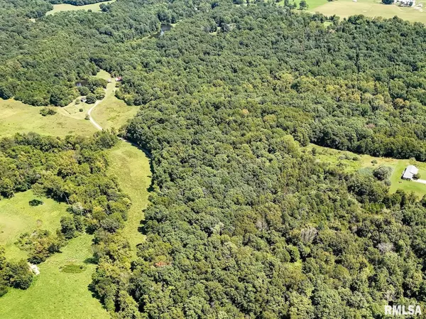 TBD Friendship Loop RD, Goreville, IL 62939