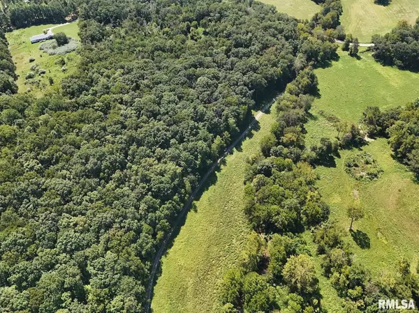 TBD Friendship Loop RD, Goreville, IL 62939