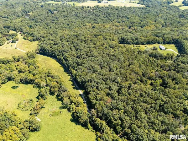 TBD Friendship Loop RD, Goreville, IL 62939