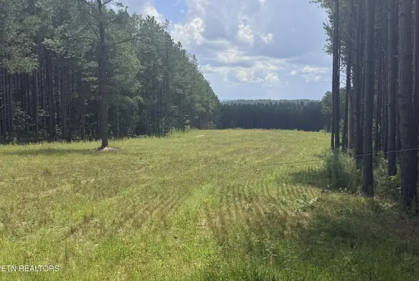 145 Black Bear Lane, Sunbright, TN 37872