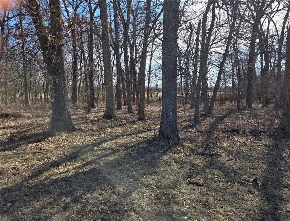 Tract A NW County Road 17402 N/A, Archie, MO 64725