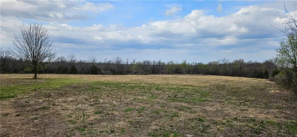 00000 S State Route D HWY, Drexel, MO 64742