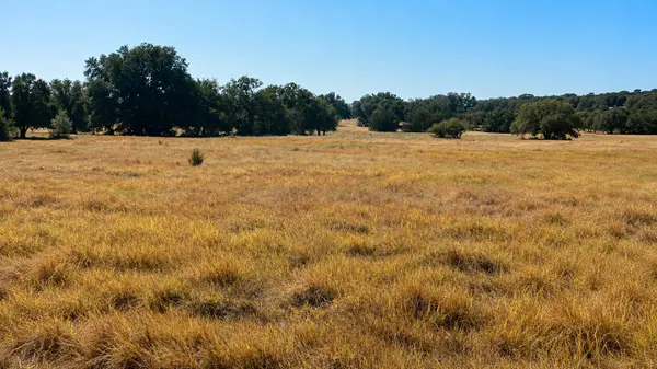 0 County Road 2659, Lometa, TX 76853