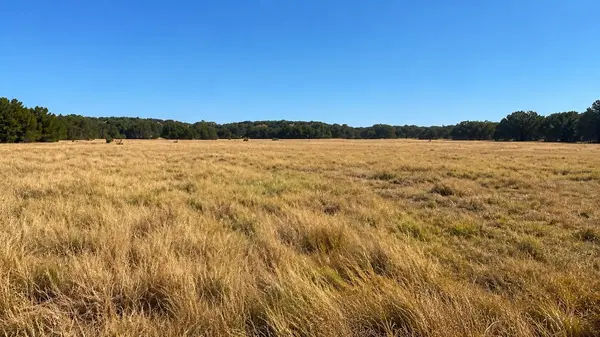 County Road 2659, Lometa, TX 76853