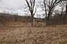 TRACK 1 Brethren Church RD, Plattsburg, MO 64477