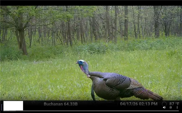 SW Old Highway RD, Rushville, MO 64484