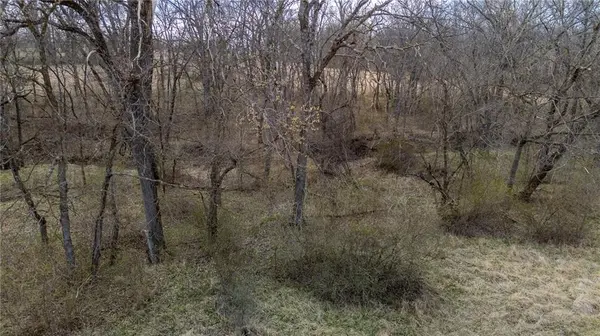 33784 W 168th ST, Lawson, MO 64062