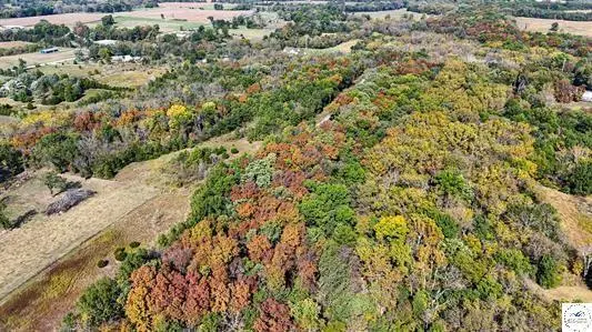 LOT 3 & 4 Main Street RD, Sedalia, MO 65301