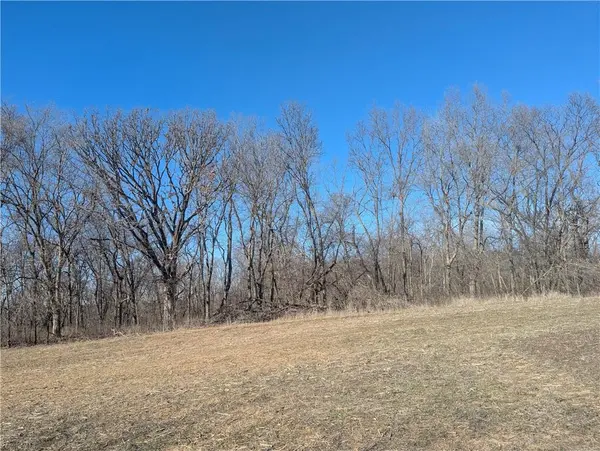 NE Mule Barn RD, Turney, MO 64493