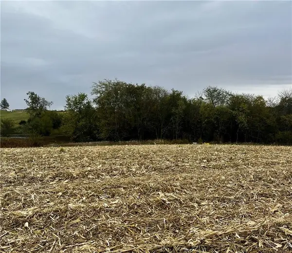 Tract 1 Country Road 422 RD, Amazonia, MO 64421
