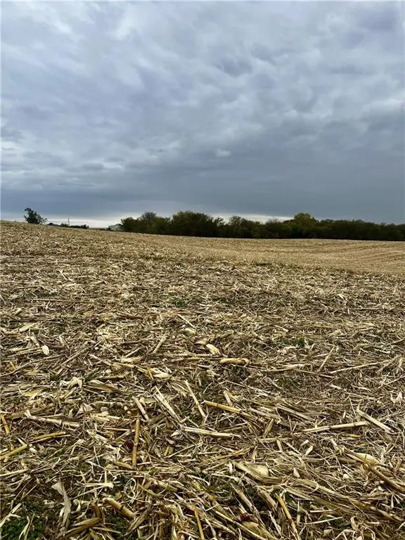 Tract 2 County Road 422 RD, Amazonia, MO 64421