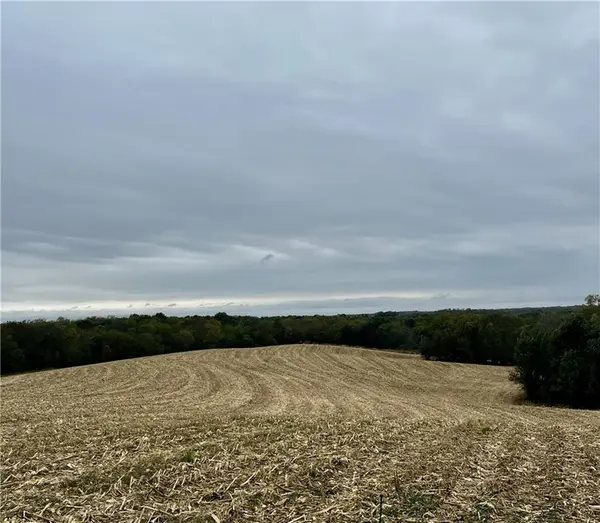 Tract 2 County Road 422 RD, Amazonia, MO 64421