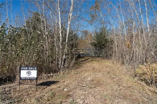 11201-11999 SE 700 HWY, Weaubleau, MO 65774