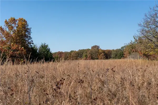 11201-11999 SE 700 HWY, Weaubleau, MO 65774