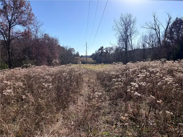 51500 River RD, Milan, MO 63556