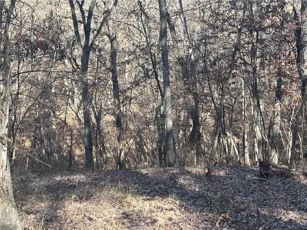 51500 River RD, Milan, MO 63556