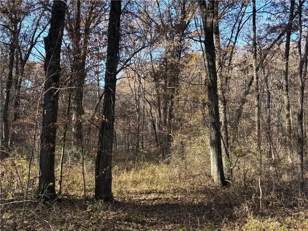 51500 River RD, Milan, MO 63556