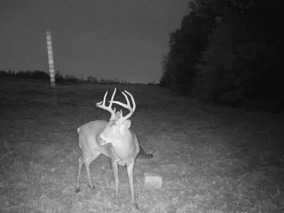 000 C HWY, Albany, MO 64402