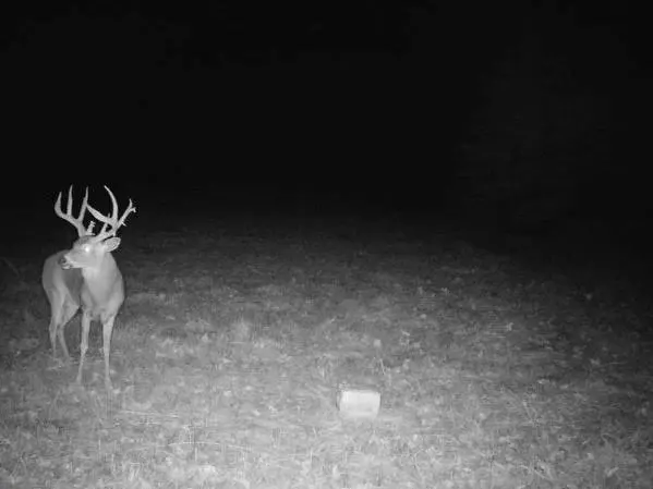 000 C HWY, Albany, MO 64402