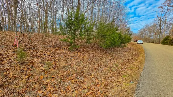 Lot #1251 Spring Creek DR, Sunrise Beach, MO 65079