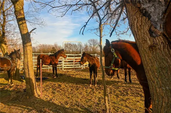 71 W V HWY, Lamar, MO 64759