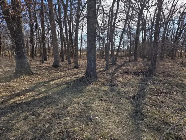Tract A NW County Road 17402 N/A, Archie, MO 64725