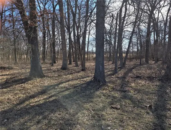 Tract A NW County Road 17402 N/A,  Archie,  MO 64725