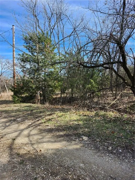 10 Scenic Valley DR, Linn Valley, KS 66040