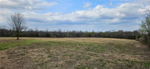 00000 S State Route D HWY,  Drexel,  MO 64742