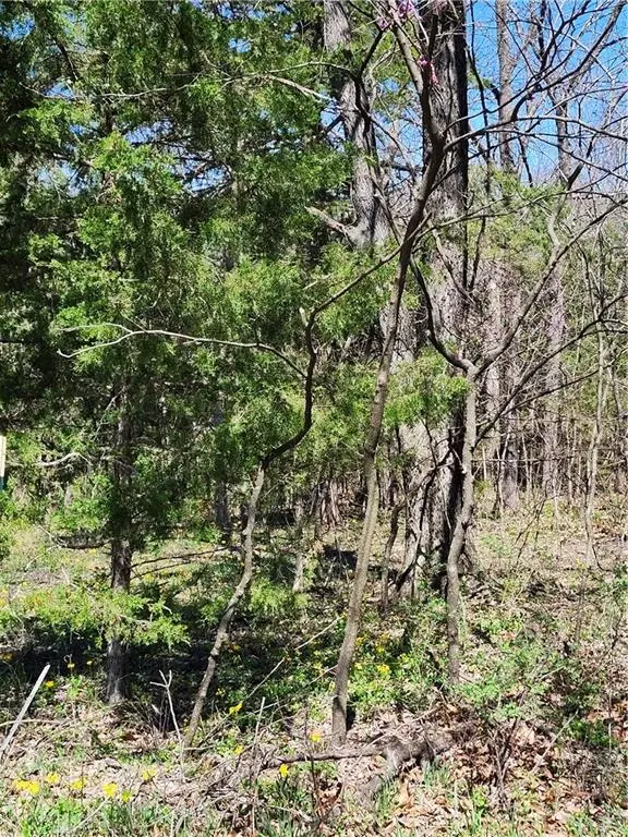 185 Wilderness TRL, Linn Valley, KS 66040