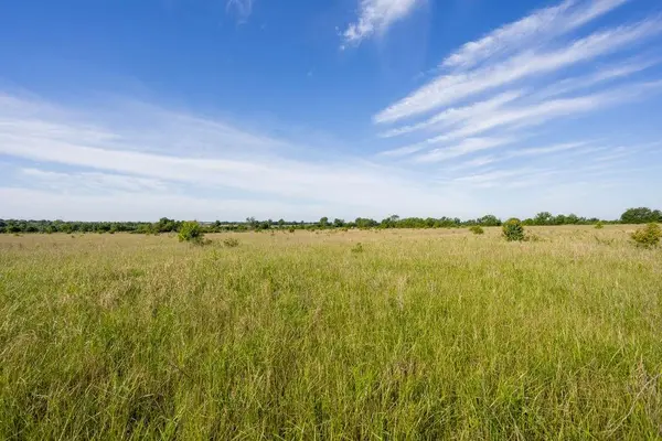 617 S U S 160 HWY, Golden City, MO 64748