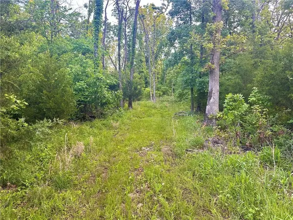 E 2100 RD, Jerico Springs, MO 64756