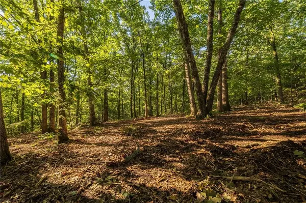TBD T HWY, Osceola, MO 64776