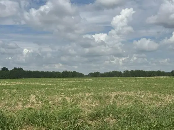 Stockade RD, Moundville, MO 64771