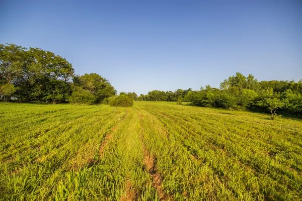 S Famuliner RD, Garden City, MO 64747