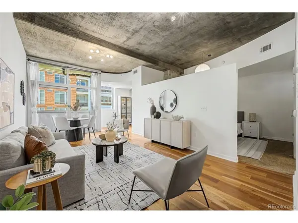 1700 Bassett #507, Denver, CO 80202