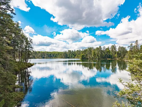 10401 Gunsten Lake Rd, Isabella, MN 55607