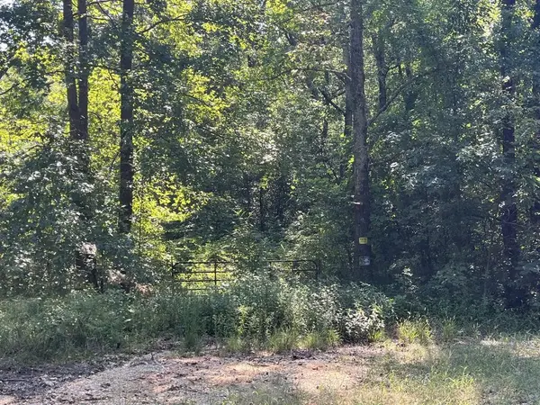 0 Guthrie Road, Paris, TN 38242