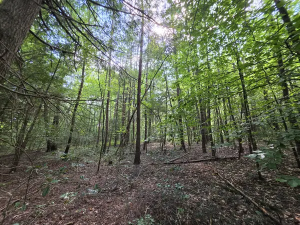 0 Northcutts Cove Road, Beersheba Springs, TN 37305