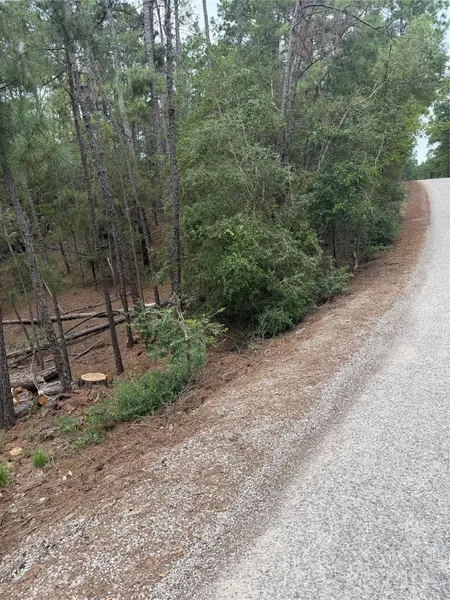 Lots 213 and 214 Hekili DR, Bastrop, TX 78602
