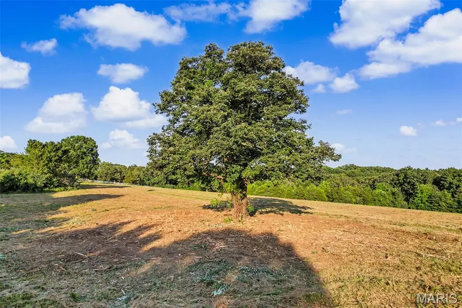 0000 Hyfield RD, De Soto, MO 63020